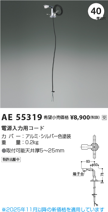 安心のメーカー保証【インボイス対応店】AE55319 コイズミ オプション 電源入力用コード  Ｔ区分の画像