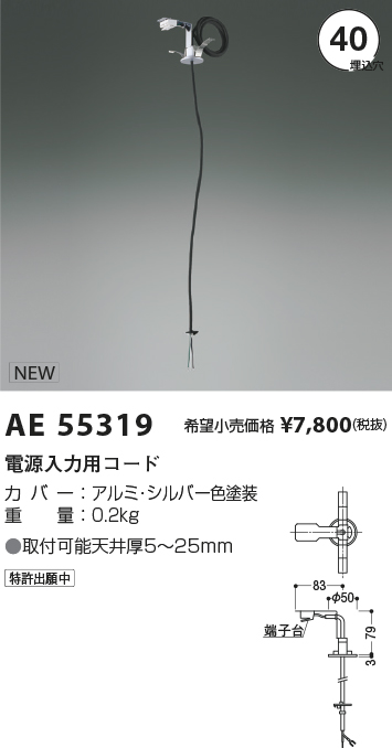 安心のメーカー保証【インボイス対応店】AE55319 コイズミ オプション 電源入力用コード  Ｔ区分の画像