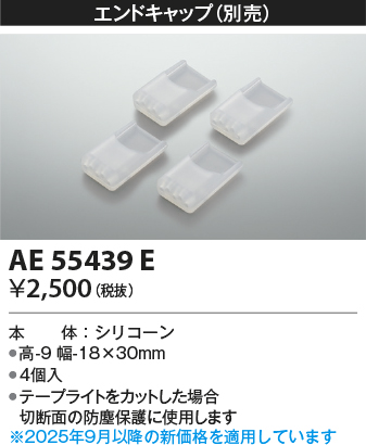 安心のメーカー保証【インボイス対応店】AE55439E コイズミ オプション 別売エンドキャップ  受注生産品  Ｔ区分の画像