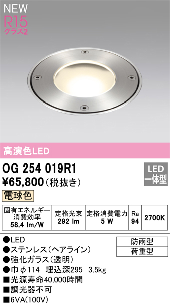 安心のメーカー保証【インボイス対応店】OG254019R1 オーデリック 屋外灯 埋込灯 LED  Ｔ区分の画像