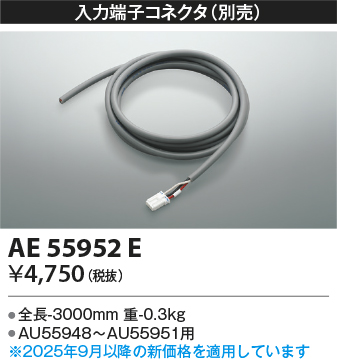安心のメーカー保証【インボイス対応店】AE55952E コイズミ オプション 別売入力端子コネクタ  Ｔ区分の画像