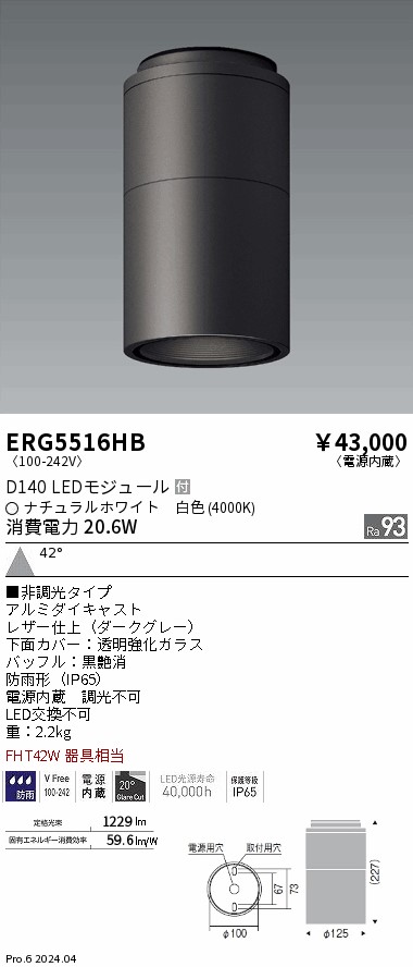 安心のメーカー保証【インボイス対応店】ERG5516HB 遠藤照明 ポーチライト 軒下用 LED  Ｎ区分 Ｎ発送の画像