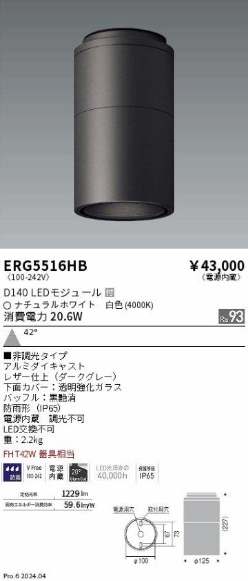 安心のメーカー保証【インボイス対応店】ERG5516HB 遠藤照明 ポーチライト 軒下用 LED  Ｎ区分の画像