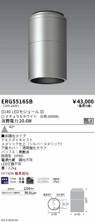 安心のメーカー保証【インボイス対応店】ERG5516SB 遠藤照明 ポーチライト 軒下用 LED  Ｎ区分の画像