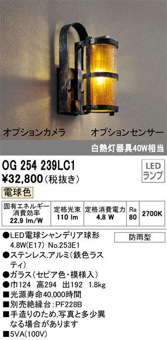 安心のメーカー保証【インボイス対応店】OG254239LC1 （ランプ別梱包）『OG254239#＋NO253E1』 オーデリック ポーチライト LED  Ｔ区分の画像