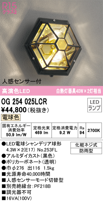 安心のメーカー保証【インボイス対応店】OG254025LCR （ランプ別梱包）『OG254025#＋NO253FL×2』 オーデリック ポーチライト LED  Ｔ区分の画像