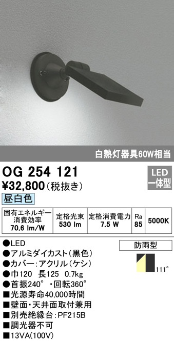 安心のメーカー保証【インボイス対応店】OG254121 オーデリック 屋外灯 スポットライト LED  Ｔ区分の画像