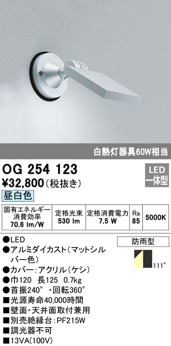 安心のメーカー保証【インボイス対応店】OG254123 オーデリック 屋外灯 スポットライト LED  Ｔ区分の画像