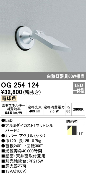 安心のメーカー保証【インボイス対応店】OG254124 オーデリック 屋外灯 スポットライト LED  Ｔ区分の画像