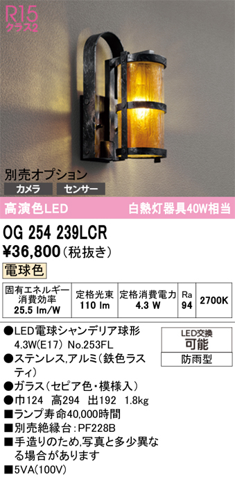 安心のメーカー保証【インボイス対応店】OG254239LCR （ランプ別梱包）『OG254239#＋NO253FL』 オーデリック ポーチライト LED  Ｔ区分の画像