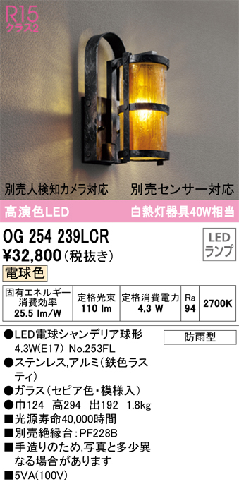 安心のメーカー保証【インボイス対応店】OG254239LCR （ランプ別梱包）『OG254239#＋NO253FL』 オーデリック ポーチライト LED  Ｔ区分の画像