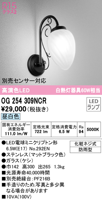 安心のメーカー保証【インボイス対応店】OG254309NCR （ランプ別梱包）『OG254309#＋NO292EN』 オーデリック ポーチライト LED  Ｔ区分の画像