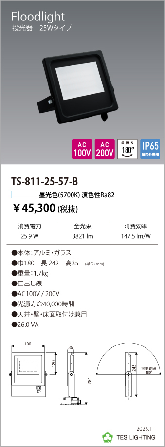 安心のメーカー保証【インボイス対応店】TS-811-25-57-B テスライティング 屋外灯 投光器 LED の画像
