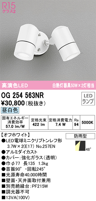 安心のメーカー保証【インボイス対応店】OG254563NR （ランプ別梱包）『OG254563#＋NO257EN×2』 オーデリック 屋外灯 スポットライト LED  Ｔ区分の画像