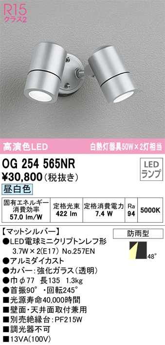 安心のメーカー保証【インボイス対応店】OG254565NR （ランプ別梱包）『OG254565#＋NO257EN×2』 オーデリック 屋外灯 スポットライト LED  Ｔ区分の画像