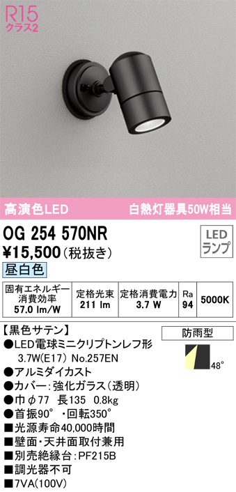 安心のメーカー保証 期間限定特価【インボイス対応店】OG254570NR （ランプ別梱包）『OG254570#＋NO257EN』 オーデリック 屋外灯 スポットライト LED  Ｎ区分の画像