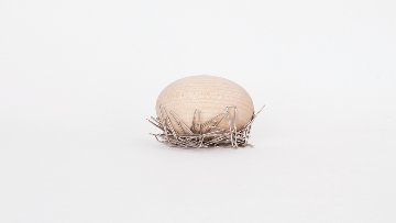 belaDESIGN ベラデザイン Nest Egg <CR1201>の画像