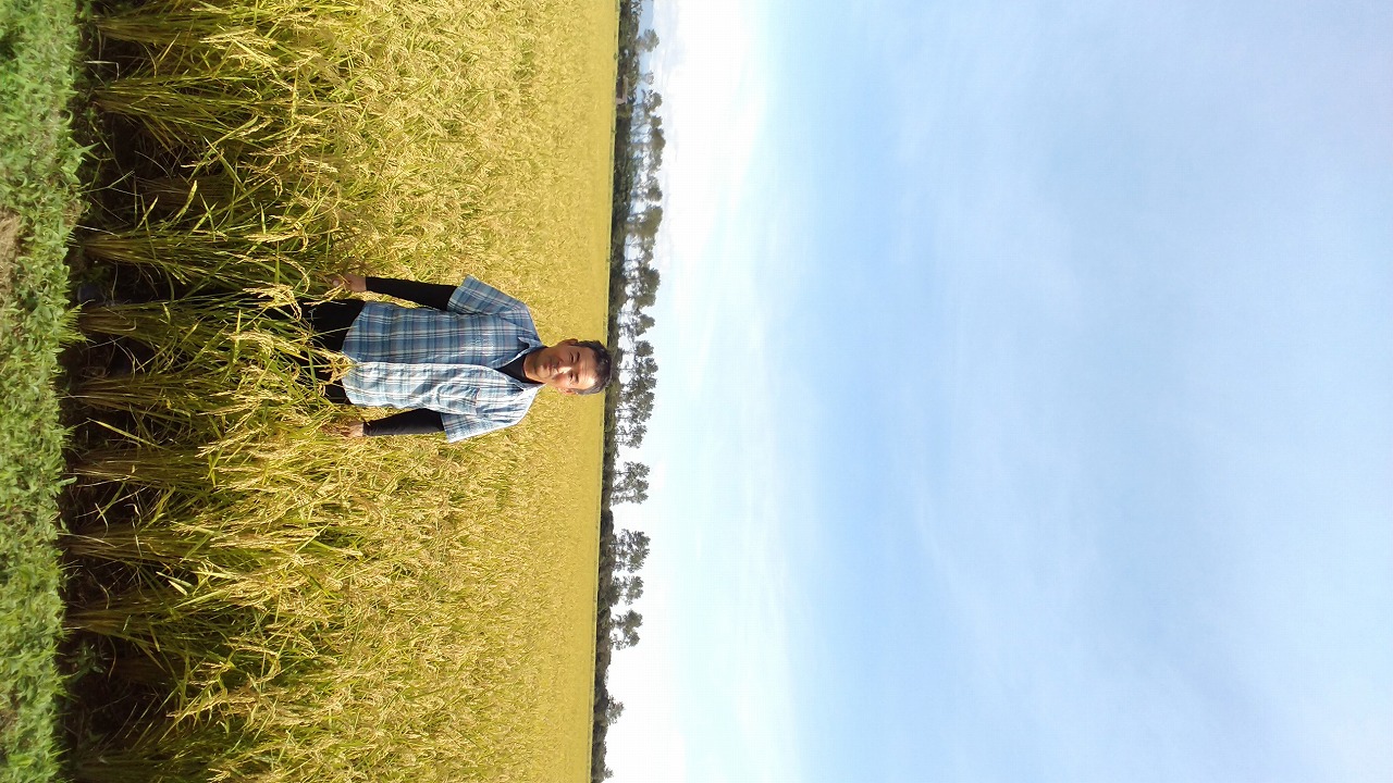 有機栽培米（JAS認証）・自然乾燥（天日干し）合鴨農法　あきたこまち　10kg（2kg×5袋）（直送・送料無料）画像