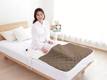 足入れ電熱マット　SALE！22,000円のところの画像