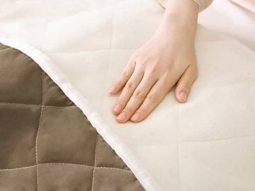 足入れ電熱マット　SALE！22,000円のところの画像
