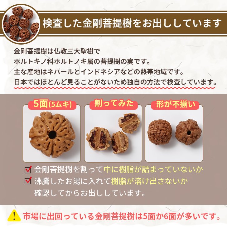 金剛菩提樹 念珠 数珠 ルドラクシャの画像