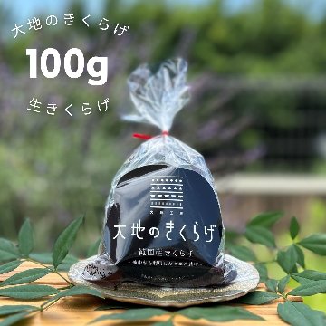 国産生きくらげ　100g　桶川産の画像