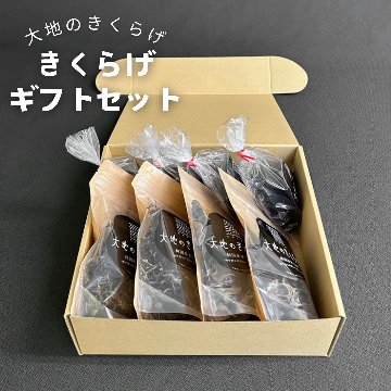 大地のきくらげ3種セット（生きくらげ・乾燥きくらげ・乾燥カットきくらげ）国産・桶川の画像