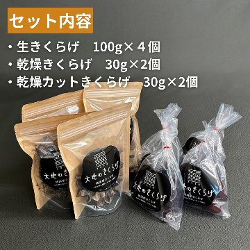 大地のきくらげ3種セット（生きくらげ・乾燥きくらげ・乾燥カットきくらげ）国産・桶川の画像