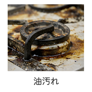 シャイニークリーナー