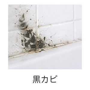 カビトリバブル