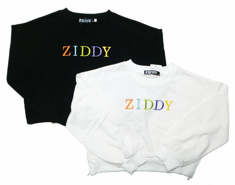 ZIDDY「サイドジップカラフルロゴ刺しゅうトレーナー」 (130-160cm)　【メール便送料198円対応】の画像