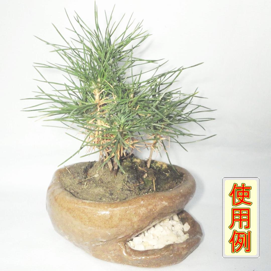 植木鉢（ミニ盆栽用B）の画像