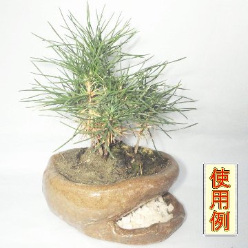 植木鉢（ミニ盆栽用B）の画像