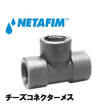 NETAFIM(ネタフィム) チーズコネクターメス 2”F (強化リング付き)の画像