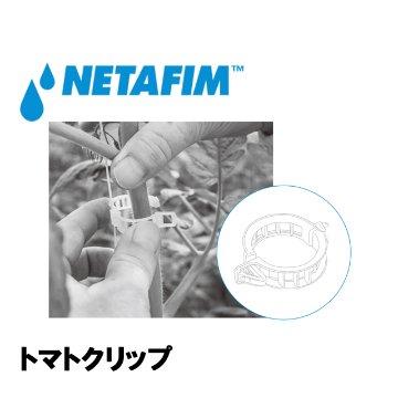NETAFIM(ネタフィム) トマトクリップ 黒 (10000個入リ)画像