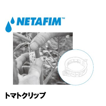 NETAFIM(ネタフィム) トマトクリップ 黒 (10000個入リ)の画像