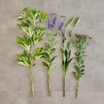 いけばな用生花セット１人分の画像