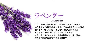 ★送料込み★ 【贅沢なハーブ】ハーブ蒸し【20g✖️10袋】ハーブ座浴剤 オーガニックの画像