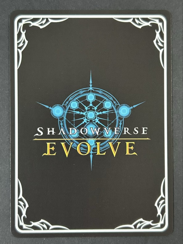 侮蔑の狂信者 PR PR-202 2024 <シャドウバースエボルヴ>の画像