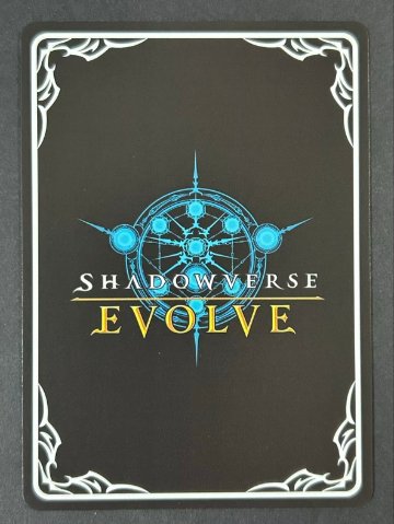 侮蔑の狂信者 PR PR-202 2024 <シャドウバースエボルヴ>の画像