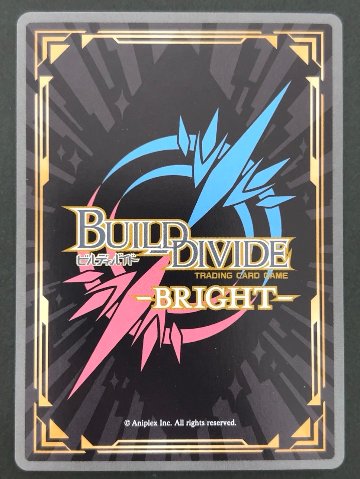 重要な選択 SSR BB-AAP-020 <ビルディバイド>の画像