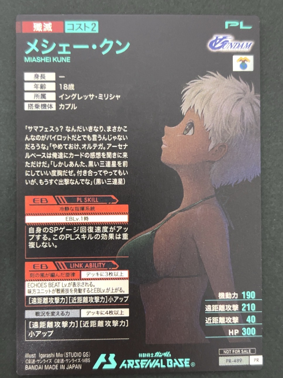 メシェー・クン PR-489 <アーセナルベース>の画像