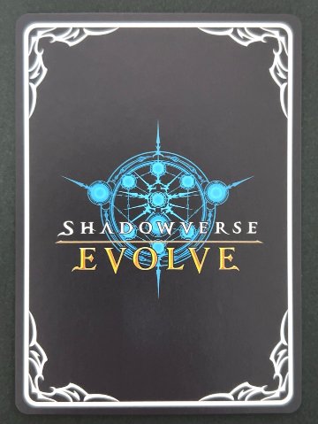 エレメントシャーマン・レイリー UR BP07-U03 <シャドウバースエボルヴ>の画像