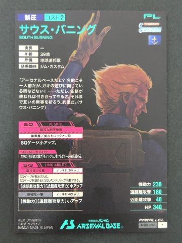 サウス・バニング P パラレル FQ01-038 <アーセナルベース>の画像