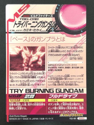 トライバーニングガンダム ANNIV VS2-081 <ガンダムトライエイジ>の画像