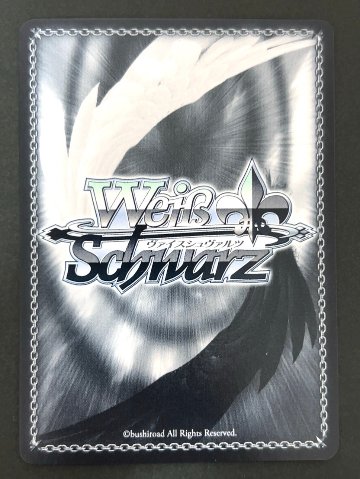 パップガン RRR YHN/W111-098R <ヴァイスシュヴァルツ>の画像