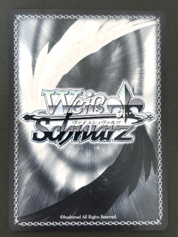 フリードリヒ・カール SR AZL/S119-086S <ヴァイスシュヴァルツ>の画像