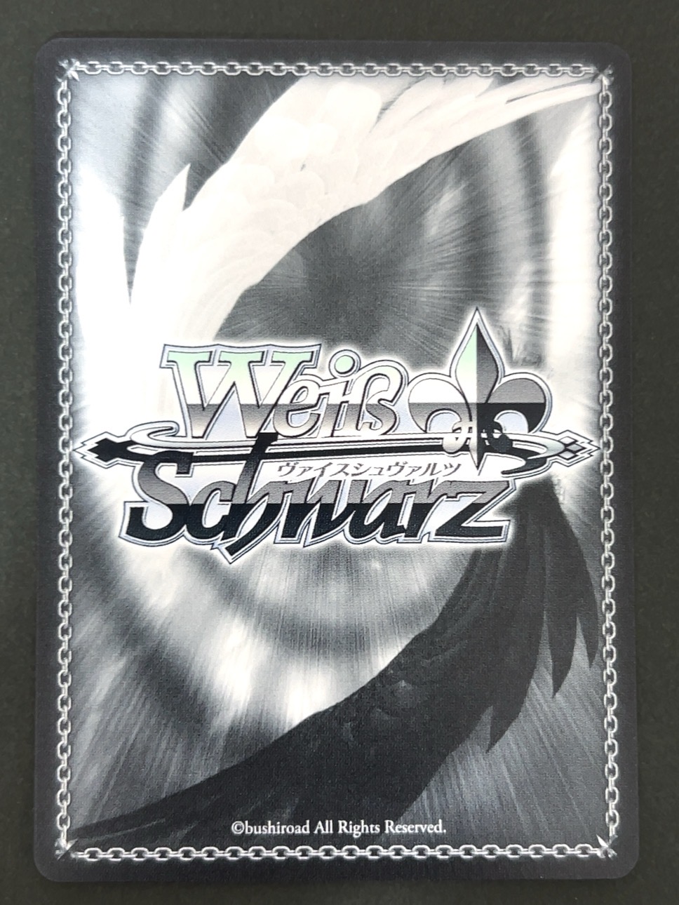 レーゲンスブルク SR AZL/S119-072S <ヴァイスシュヴァルツ>の画像