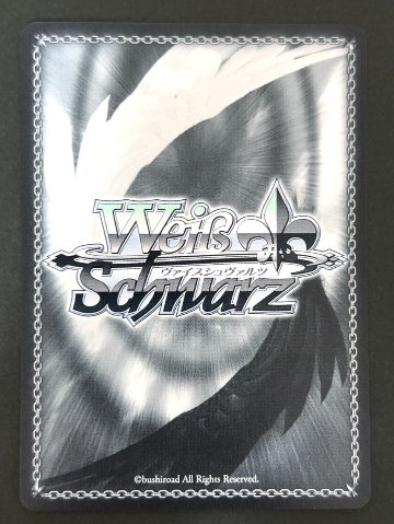 レーゲンスブルク SR AZL/S119-072S <ヴァイスシュヴァルツ>の画像