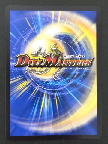 血貴き侵略 ブラッドゾーン SR 24EX4 <デュエルマスターズ>の画像